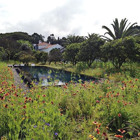 Villa Quinta Do Miguel à Aldeia do Meco Extérieur photo