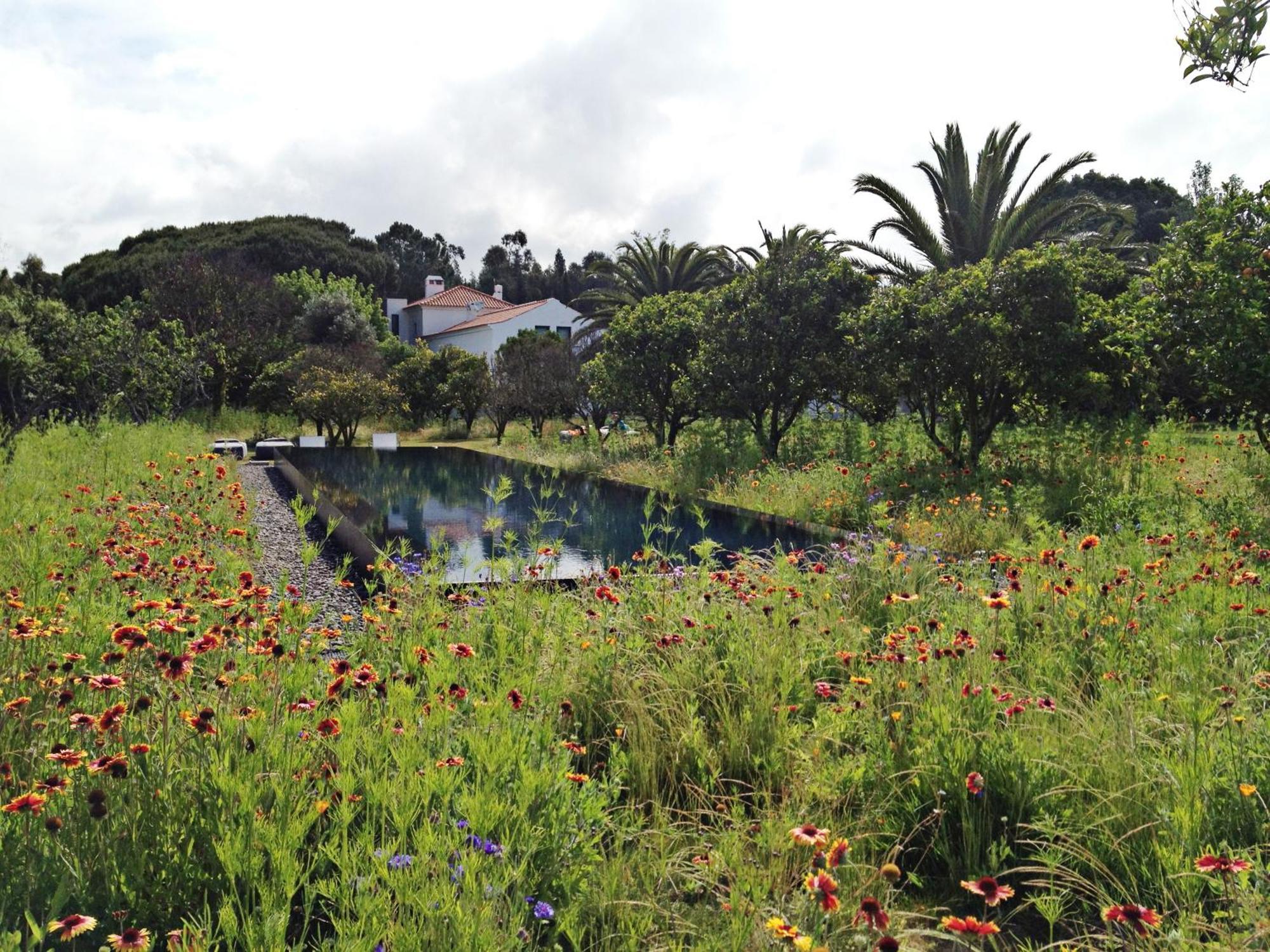 Villa Quinta Do Miguel à Aldeia do Meco Extérieur photo