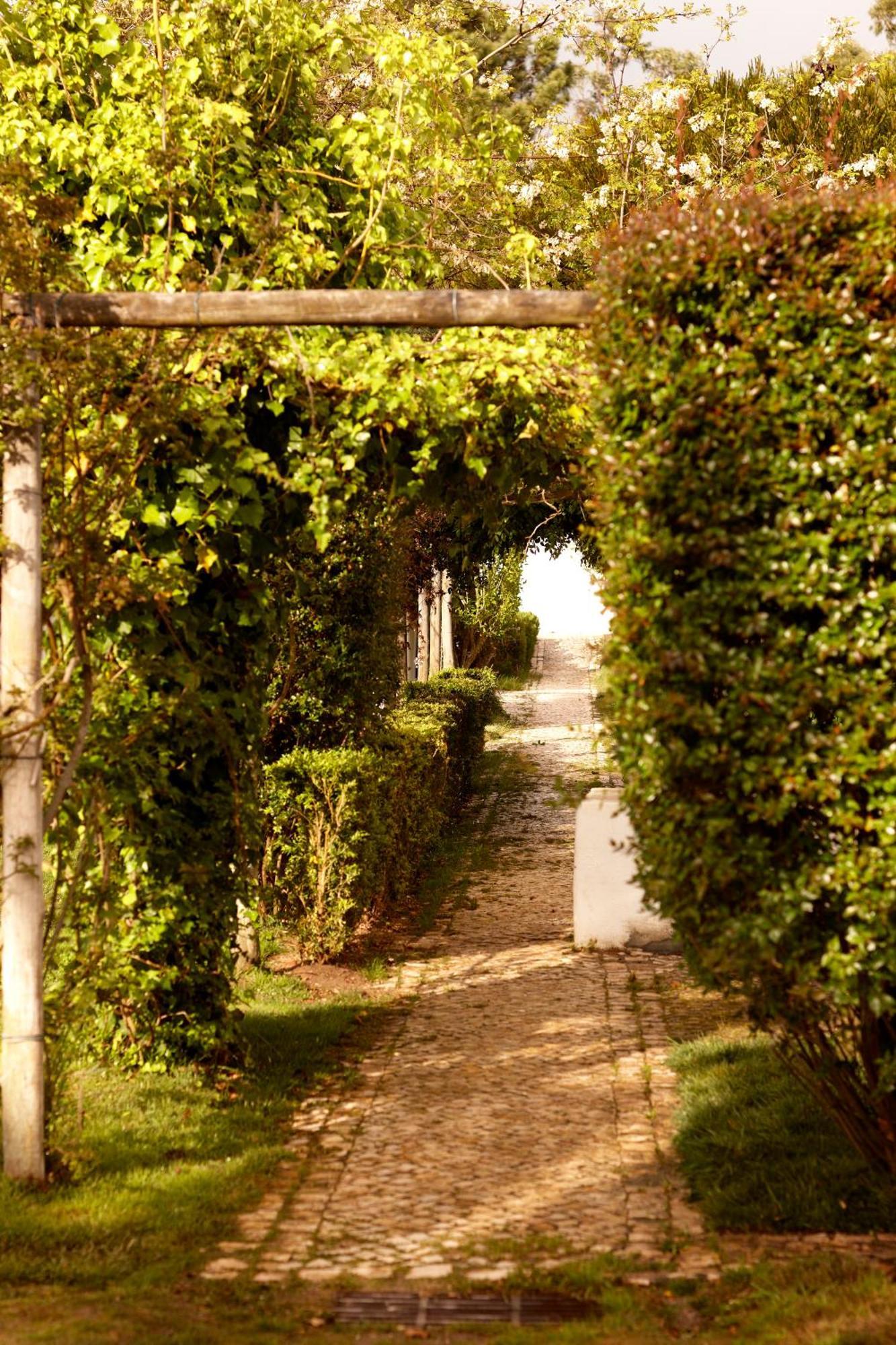 Villa Quinta Do Miguel à Aldeia do Meco Extérieur photo